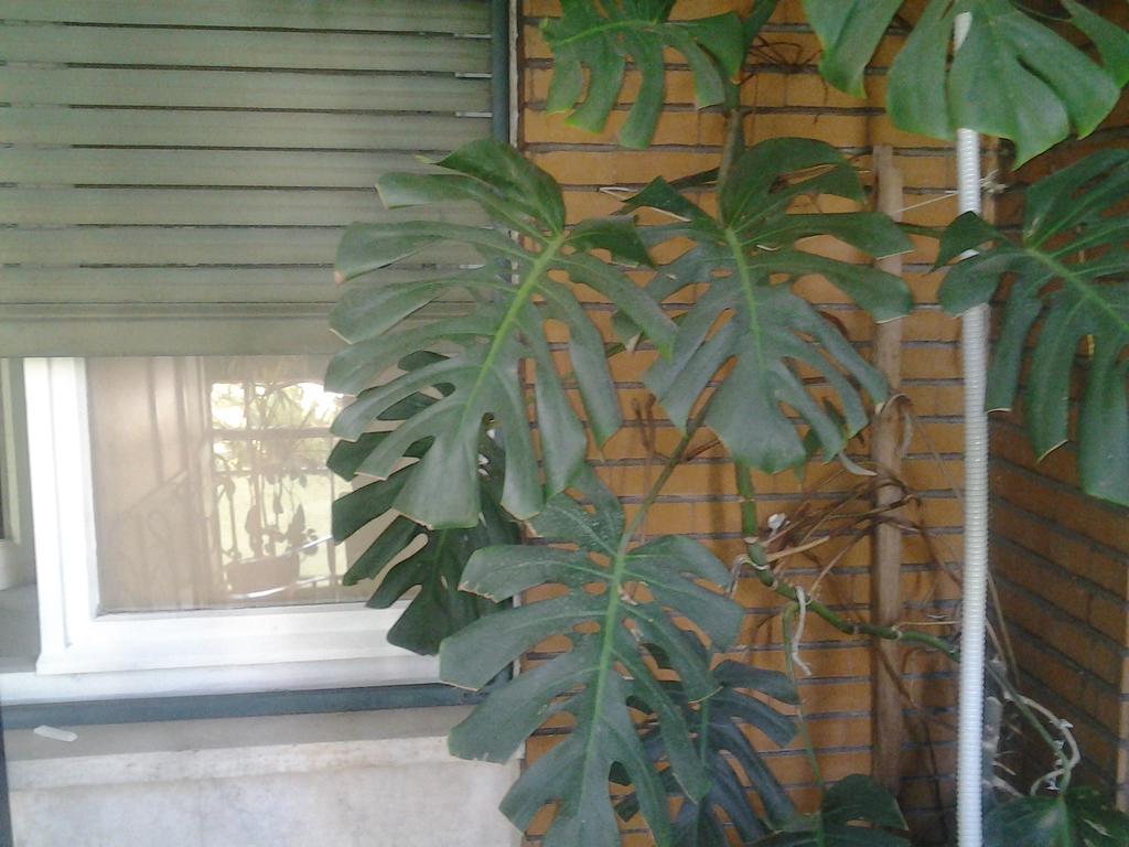 Olimpica Relais Guest House Rome Exterior photo